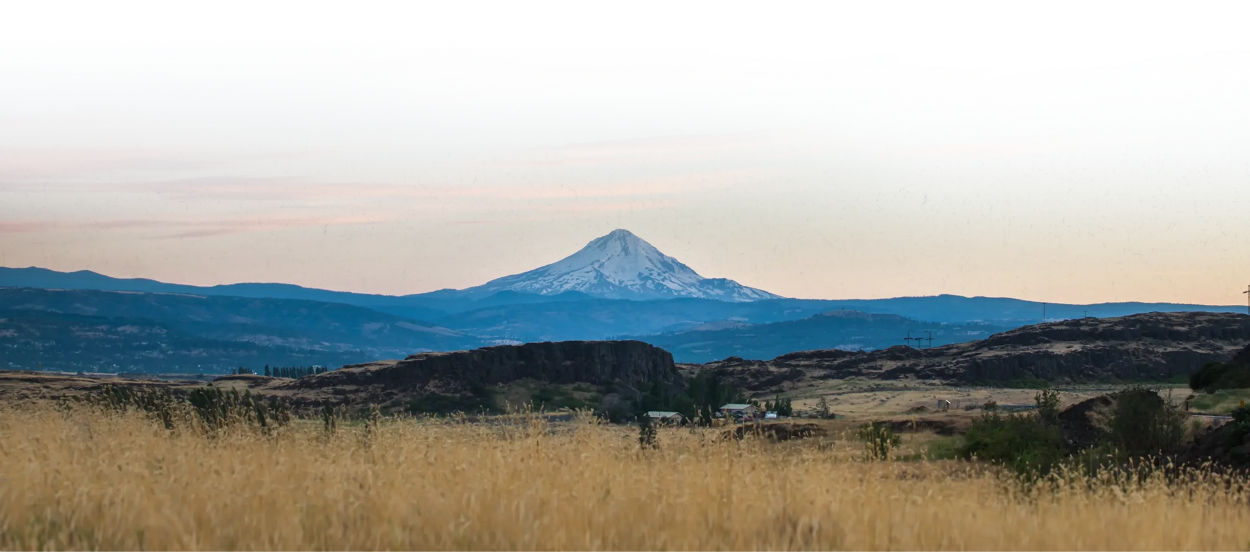 Mount Hood at sunset with wheat in the foreground