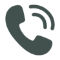 Phone icon
